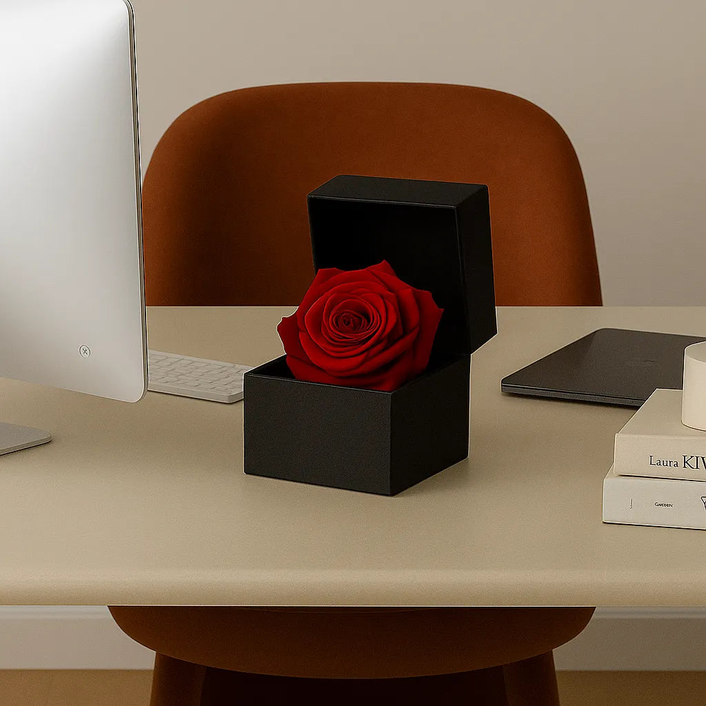 Red rose in a black box on a desk with a computer and books in the background